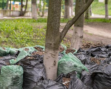 How to Dispose of Garden Waste Responsibly